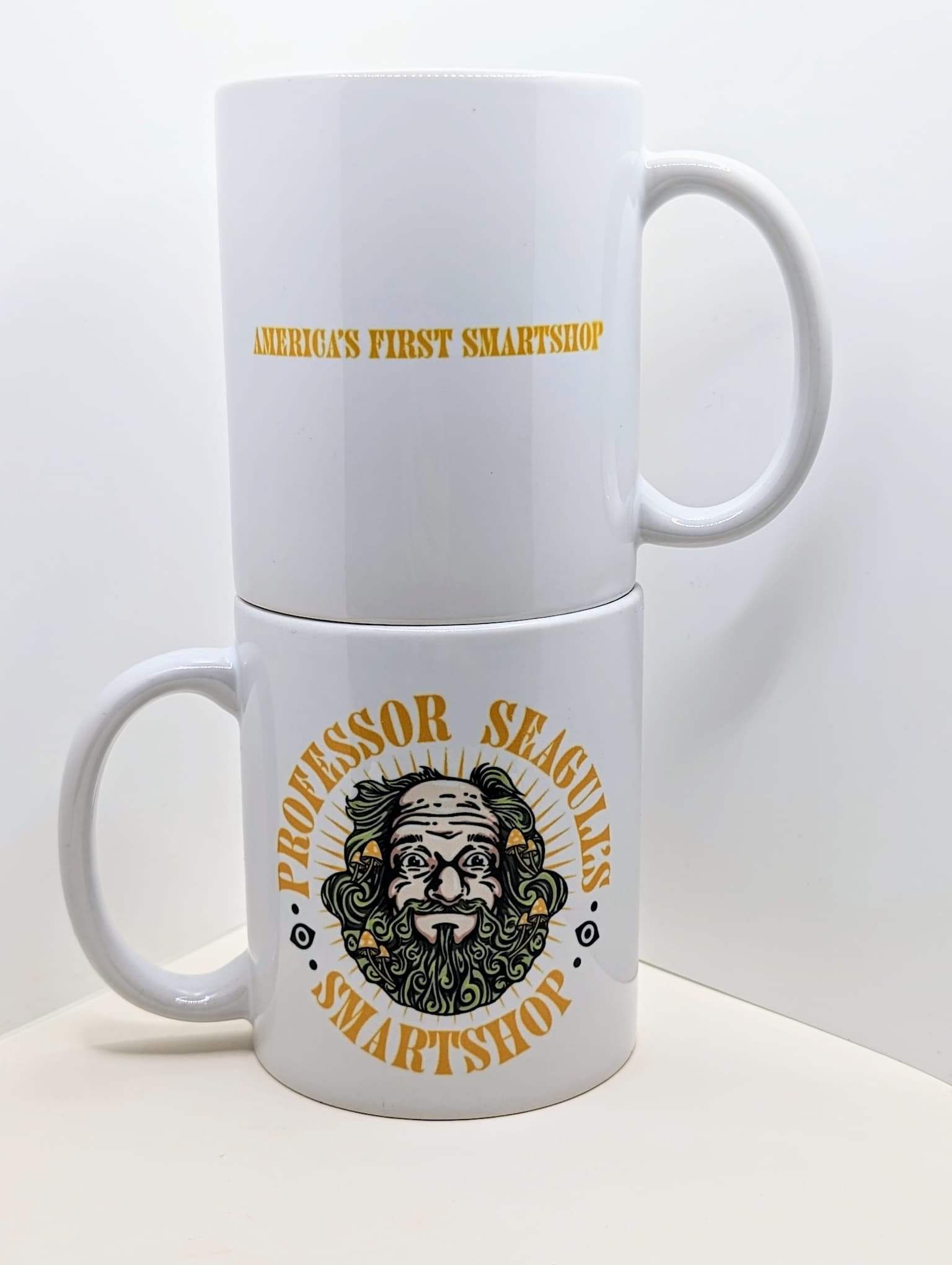 Professor Seagull's Coffee Mug